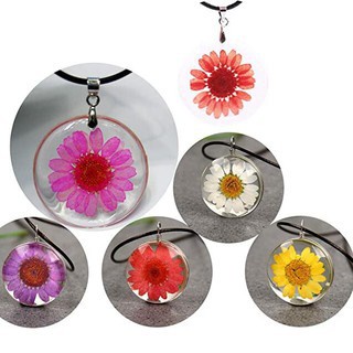 Set 12 Hoa Cúc Khô Dùng Để Trang Trí Móng Tay Nghệ Thuật