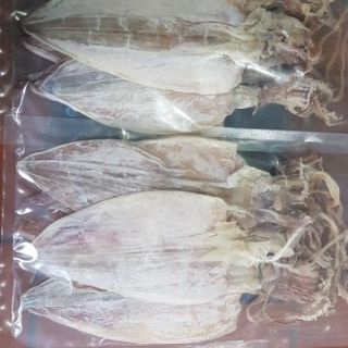 Combo khô mực đại bao ngon