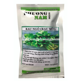 20GR - HẠT GIỐNG RAU NGÒ