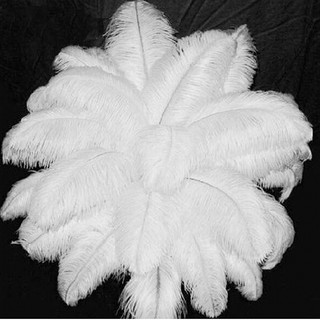 Set 10 lông vũ tự nhiên trang trí tiệc lễ cưới độc đáo