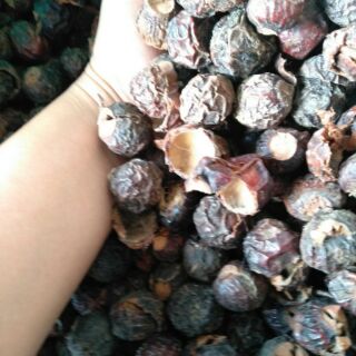 Bồ hòn tách hạt, bồ hòn thiên nhiên, bồ hòn nhà cacao