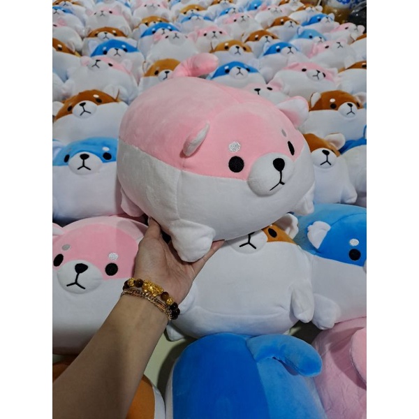 Gấu Bông Chó Shiba Cao Cấp