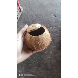 Combo 60 Gáo hủ khoan lỗ