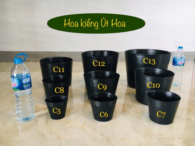 500 chậu nhưa đen c9 (20x16)