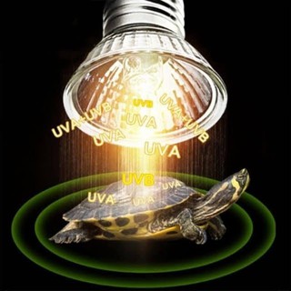 Đèn sưởi UVA + UVB 3.0 cho bò sát Nomoy pet