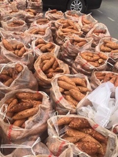 1kg Khoai lang mật
