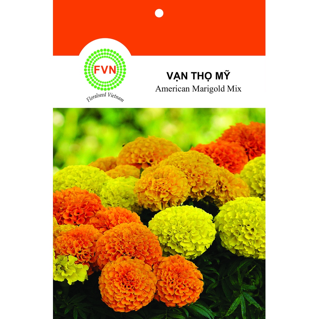 HẠT GIỐNG HOA VẠN THỌ MỸ NHIỀU MÀU FVN GÓI 15 HẠT - AMERICAN MARIGOLD MIX