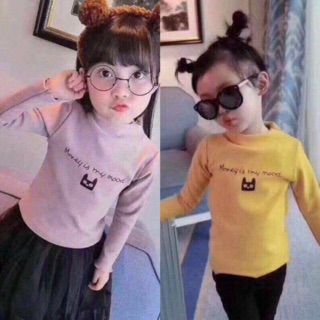Combo 6 áo cotton len chất đẹp