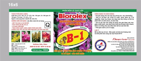 Vitamin B1 loại đặc biệt ( combo 10 chai )