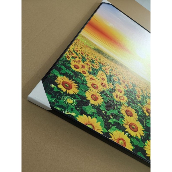 Tranh Treo Tường Canvas Cánh Đồng Hoa Hướng Dương 40 x 60 cm TTT-0569