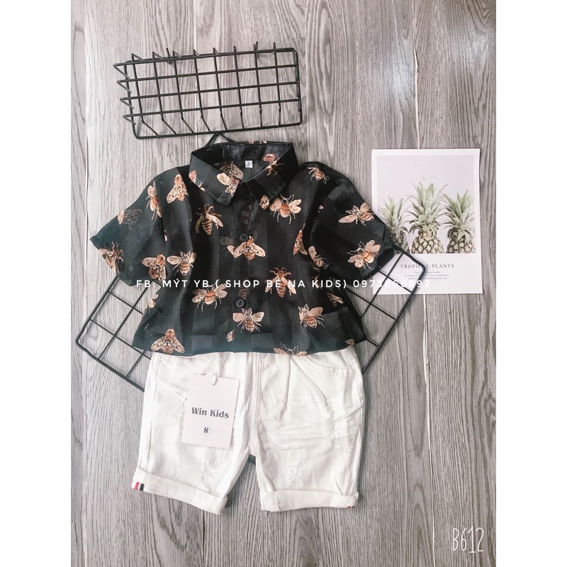 Sét bộ áo sơ mi ong kèm quần kaki cho bé 9- 25kg