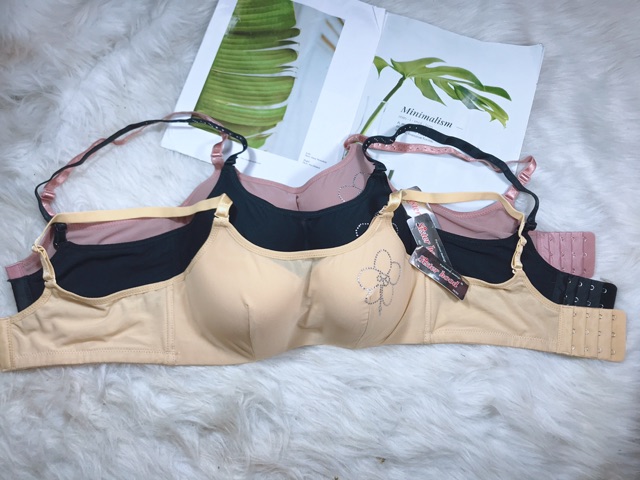 Áo ngực Sisterhood 756 có lưới che gọn ngực kín đáo khuôn ngực tròn