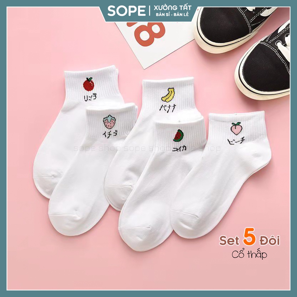 Tất vớ trắng cổ ngắn nữ họa tiết dễ thương, chất liệu vải co giãn bốn chiều - Sope Shop
