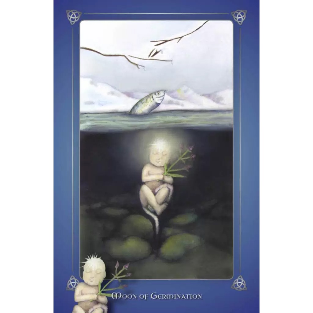 Bộ Bài Avalonian Oracle (Mystic House Tarot Shop) - Bài Gốc Authentic Chính Hãng 100%