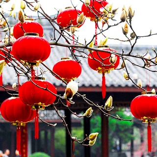 Đèn lồng mini màu đỏ dùng trang trí tiệc cưới