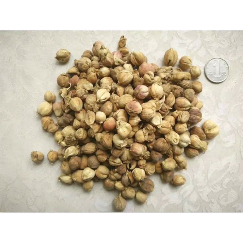 BẠCH ĐẬU KHẤU - HƯƠNG LIỆU MÓN TRUNG