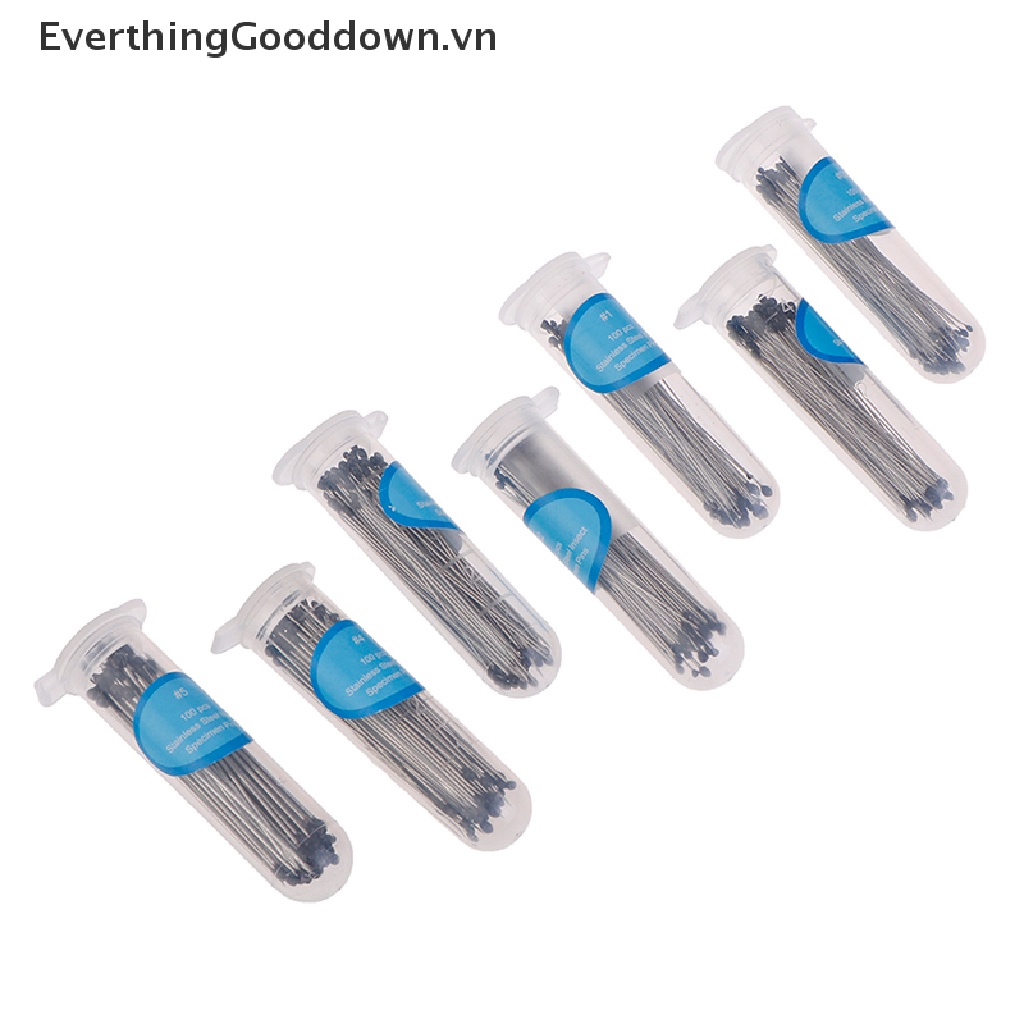 Everthinggooddown 100 Cây Ghim Côn Trùng Bằng Thép Không Gỉ Cho Phòng Thí Nghiệm Trường Học