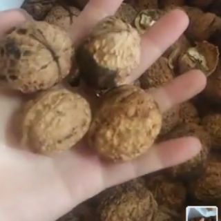 Combo c duyên