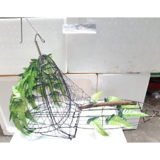 Lồng bẫy chim cu số 3