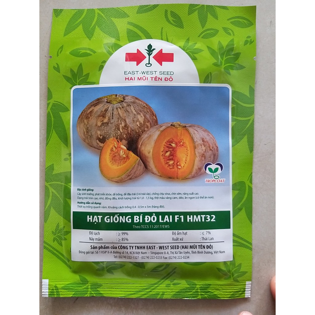Hạt giống bí đỏ lai F1 HMT32 gói 9,1g (100 hạt)