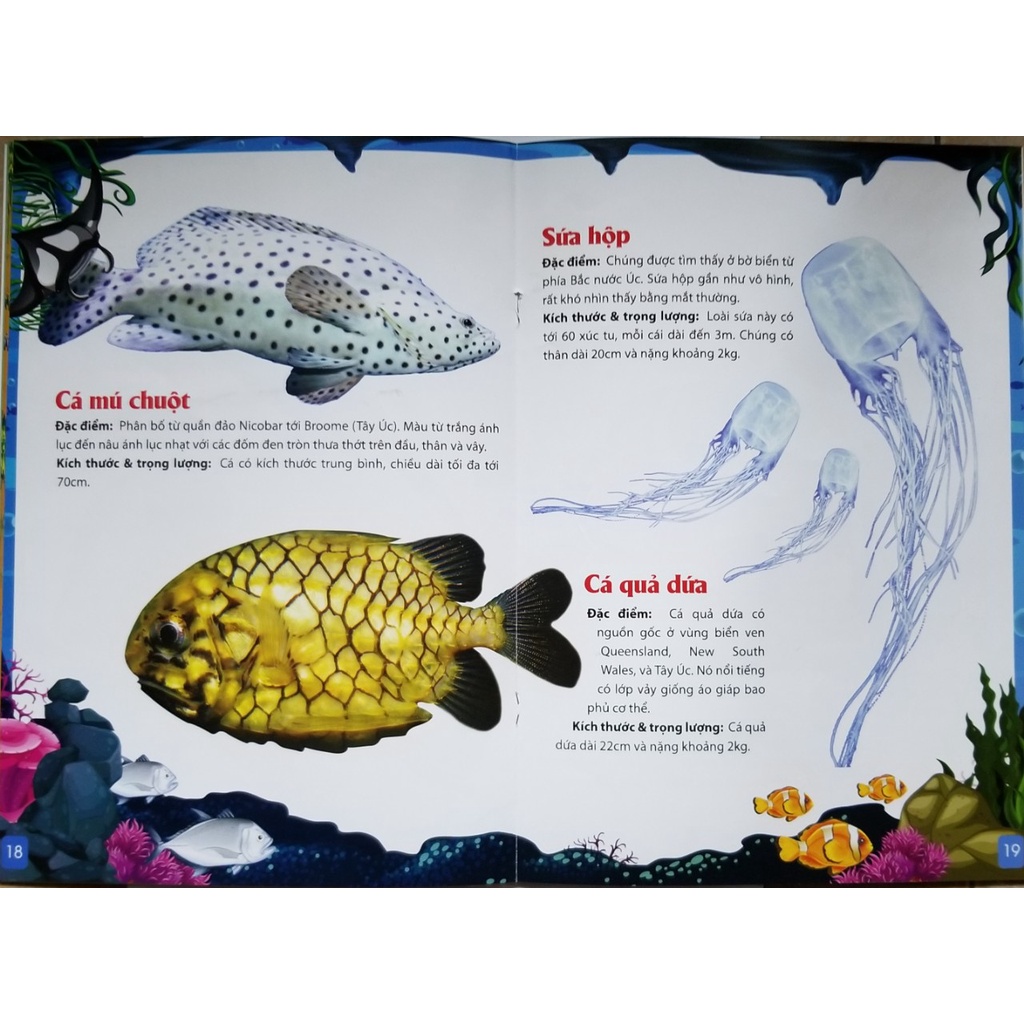 Sách- Khám Phá Động Vật 5 Châu- Châu Đại Dương