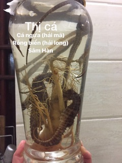 1 Cá ngựa khô