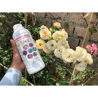 Phân bọn hữu cơ humic chuối trứng và đậu nành