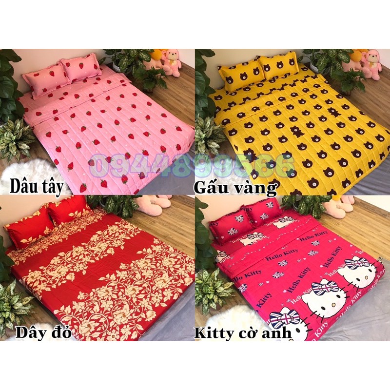 Vỏ gối ôm cotton poly nhiều mẫu