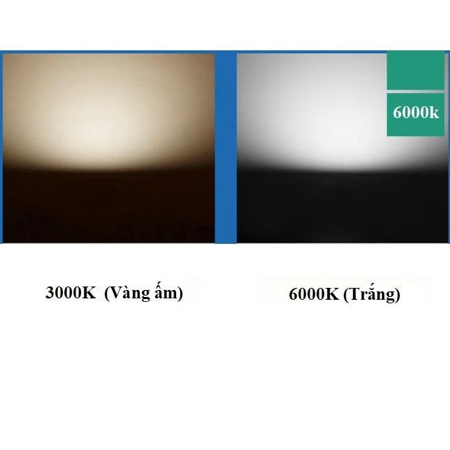 Bộ 10 đèn thả cổ điển Vintage bóng đèn led búp 5w