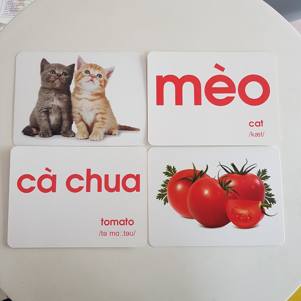 Thẻ học thông minh loại to A5 15x21cm dạy trẻ thế giới xung quanh