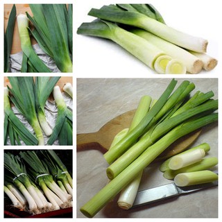 0.5GR - HẠT GIỐNG TỎI TÂY ( HÀNH BOA RÔ)