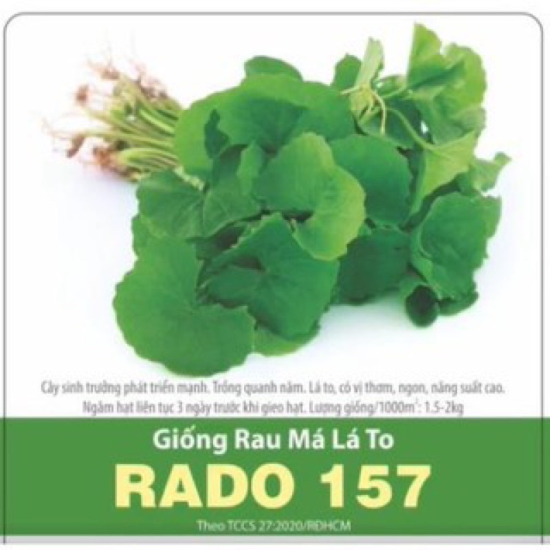 Hạt Giống Rau Má Lá Lớn 157
