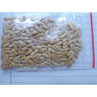 HẠT GIỐNG DƯA LƯỚI THÚY MẬT- NÔNG HỮU