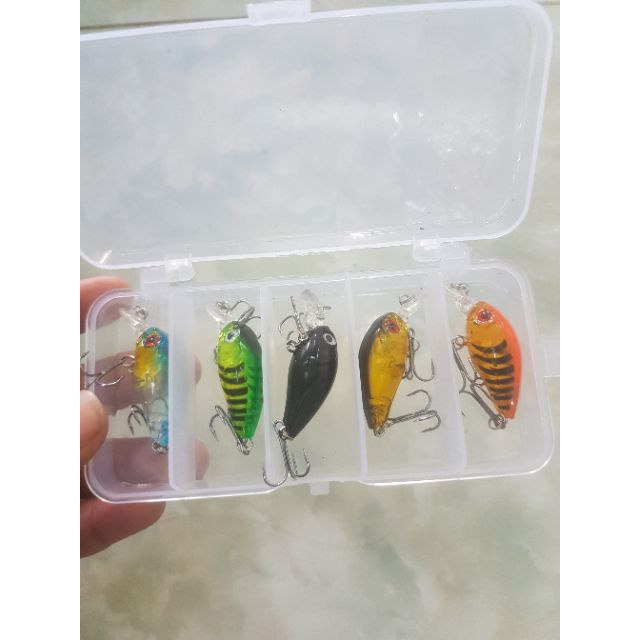 Bộ 5 cá giả có bi chuyên câu cá lóc, chẽm, măng, vược đồ câu cá hàng hót giá rẻ