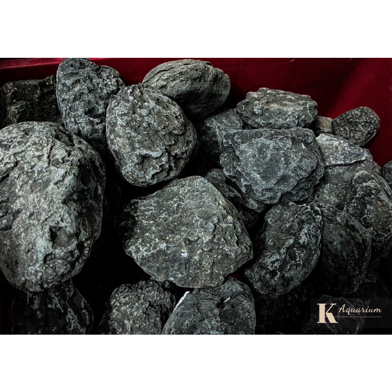 ĐÁ CUỘI ĐEN PHAN THIẾT SIÊU VÂN (1KG)| Trang trí bể Thủy sinh, Biotope, Blackwater, Iwagumi