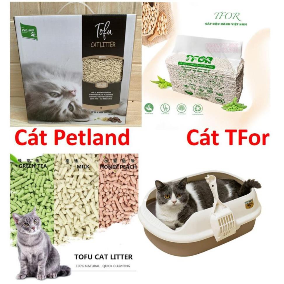 Cát đậu phụ Tofu Cát vệ sinh cho mèo làm từ bã đậu nành Hữu cơ hòa tan trong bồn cầu và mèo ăn không sao