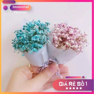 Bó Hoa Baby khô, Hoa khô bó nhỏ nhiều màu giá rẻ- Hoa khô trang trí quà tặng, thiệp, decor...
