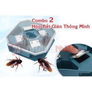 Hộp bẫy gián