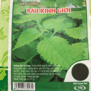 ✅ Hạt giống rau Kinh giới 🌱