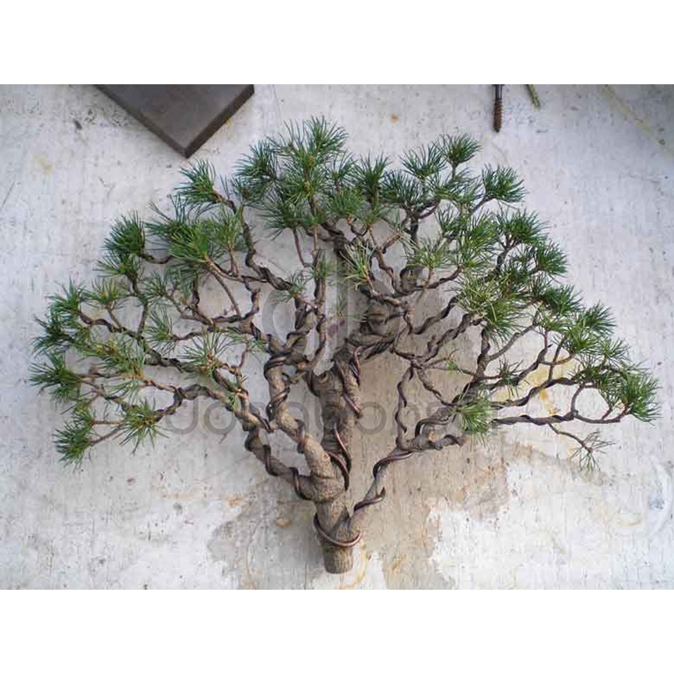 Dây nhôm mạ đen uốn cây bonsai đóng gói 1kg