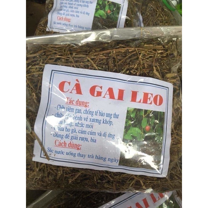 Cà Gai Leo Hàng Loại 1 [ Cam Kết Xạch Thơm Mới ] Bảo vệ lá gan của bạn hàng ngày hiệu quả 1KG