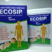 Nguyên hộp Cao Dán Thảo Dược Nóng Ecosip Tatra