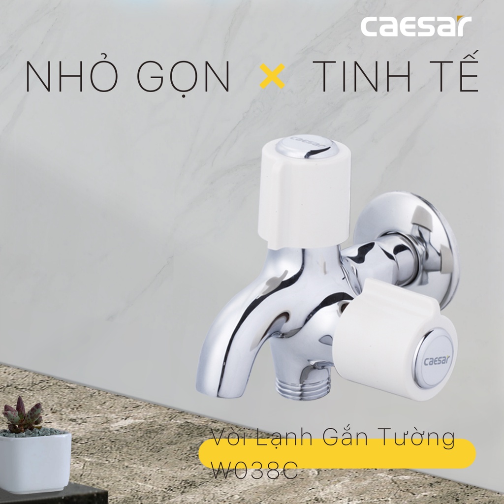 Vòi Sen Lạnh - W038C