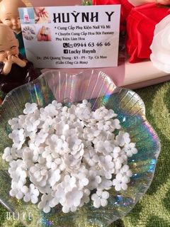 Hoa mai 2 tầng ( nail)