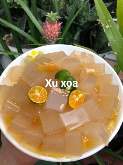 500GR RONG BIỂN RAU CÂU CHỈ VÀNG SẠCH NẤU XU XOA