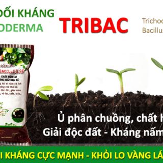 Trichoderma Bacillus 1kg