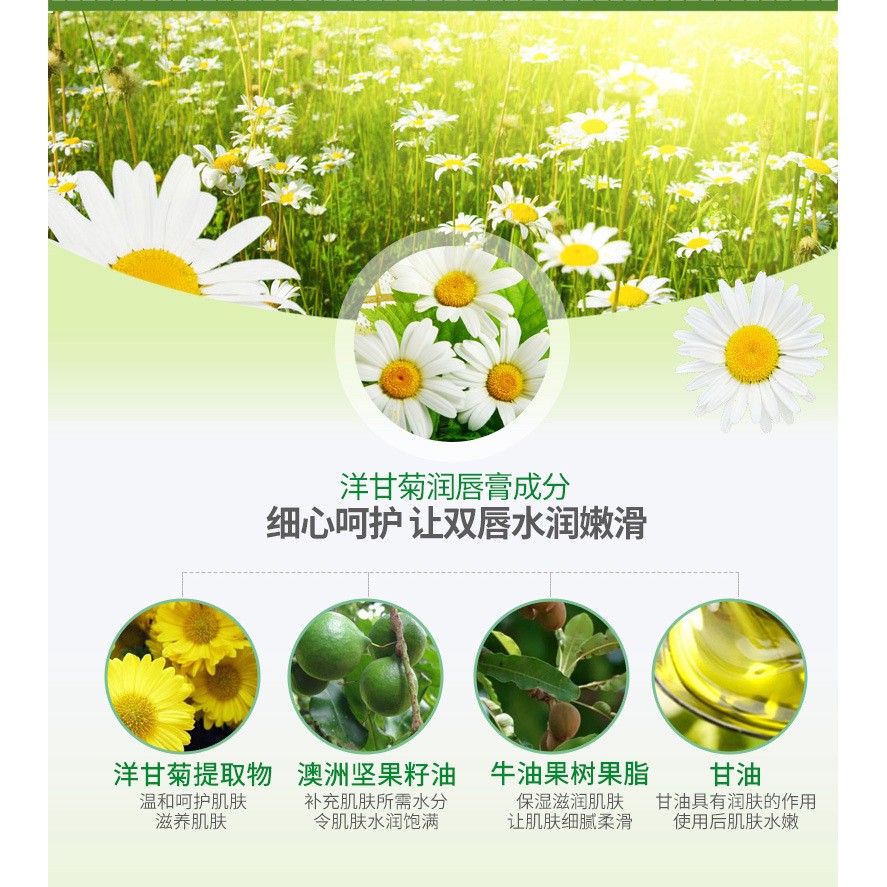 (Hàng Mới Về) Son Dưỡng Môi Bioaqua Chiết Xuất Hoa Cúc Dưỡng Ẩm Hiệu Quả | BigBuy360 - bigbuy360.vn