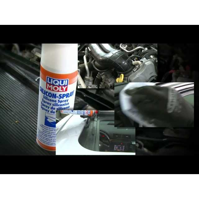 Chai xịt silicon bôi trơn bảo dưỡng cao su, nhựa Liqui Moly Silicon-Spray 3310 300ml