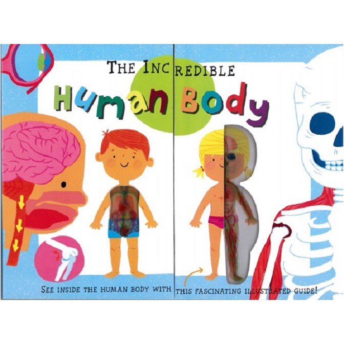 Sách - The Incredible Human Body