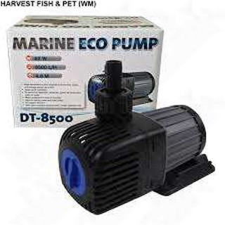 Máy bơm jecod DT siêu tiết kiệm điện